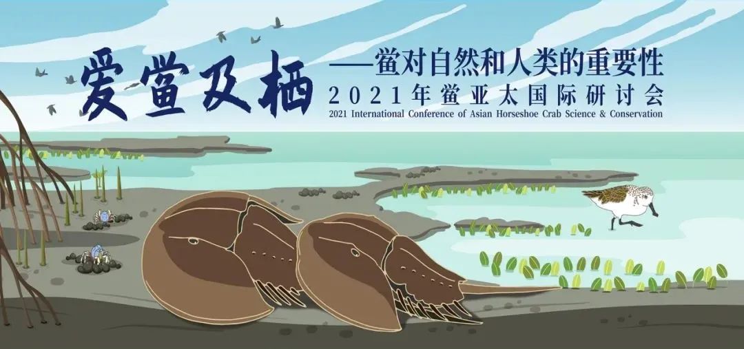 1649401306582125.jpg 2.jpg